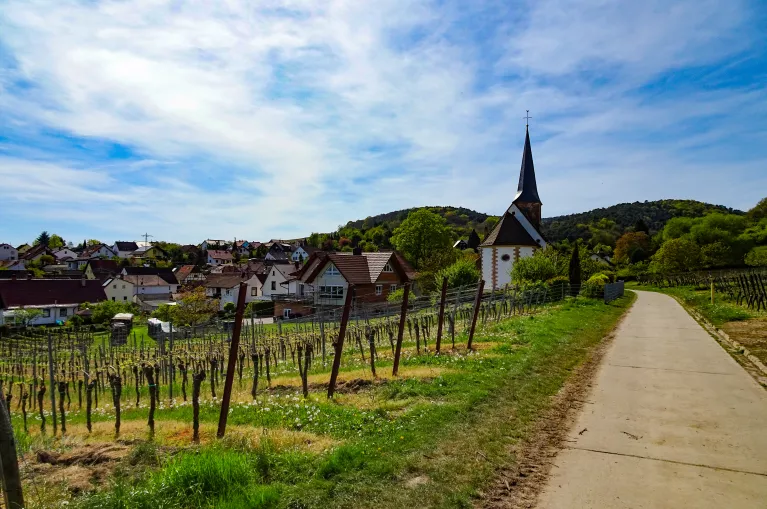 Frankrijk | Individuele Fietsvakantie | Rijnroute van Straatsburg naar Mainz | 8 dagen