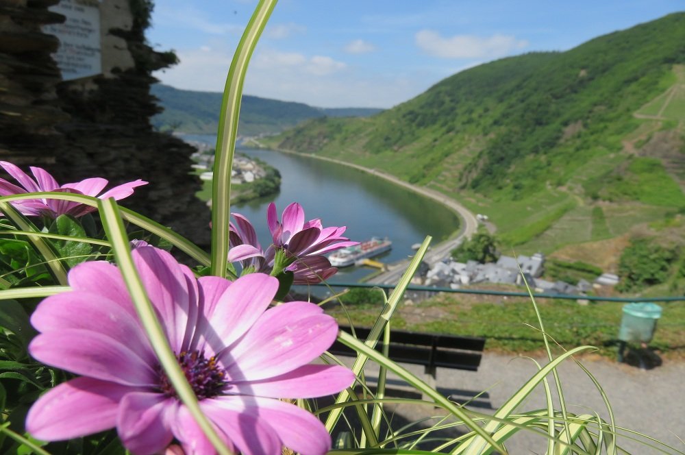 Duitsland | Fietsvakantie | Moezel (vanaf Trier) | 6 dagen