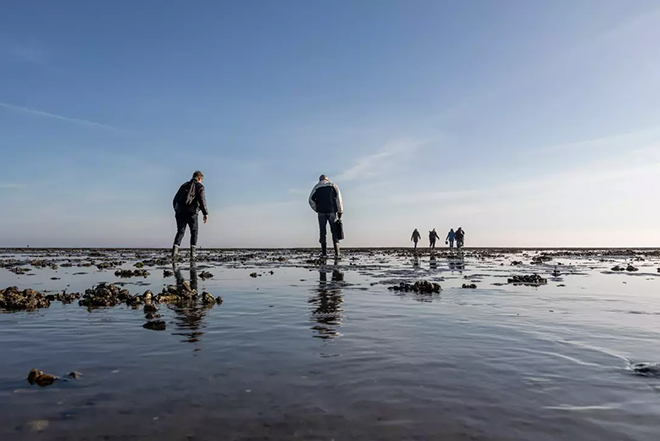 Denemarken | Rondje Jutland | 11 ,12 of 15 dagen