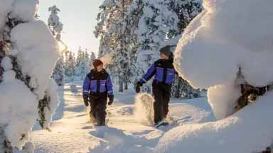 Finland | Fins Lapland | Singlereis Winters Fins Lapland | 8 dagen
