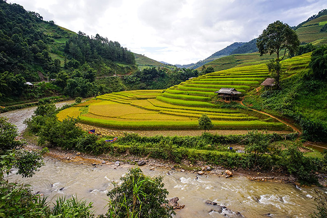 Vietnam | Familiereis Avontuur | Droomeilanden en waterpoppen | 21 dagen