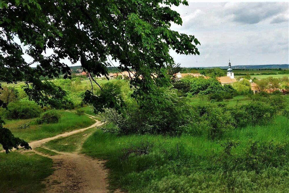 Tsjechië | Oostenrijk | Individuele Fietsreis | Greenways route van Praag naar Wenen | 7 of 9 dagen