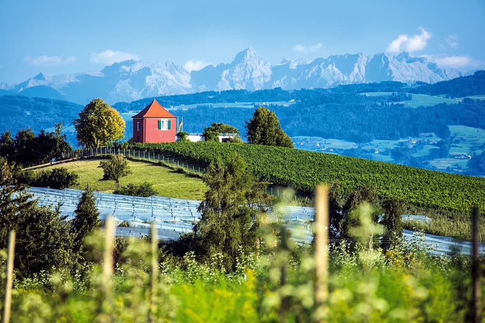 Zwitserland | Fietsvakantie Rond de Bodensee | 5, 7 of 9 dagen