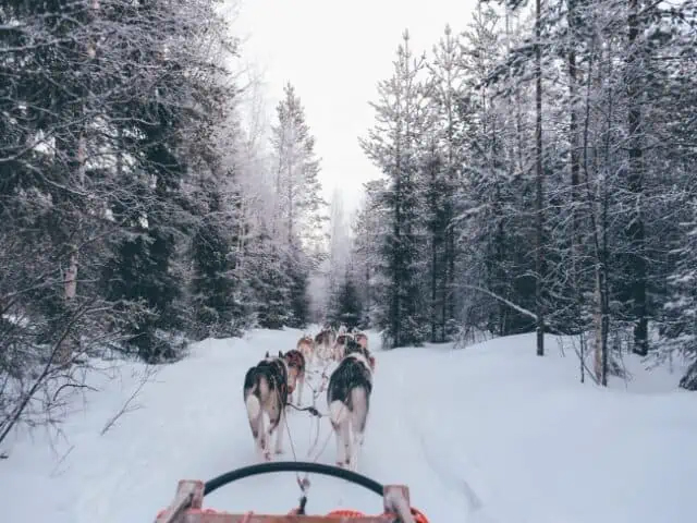 Zweden | Groepsreis | Scandinavische Droom | Winters Lapland | 8 dagen