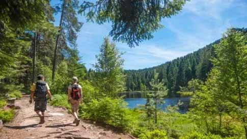 Duitsland | Wandelen door het Zwarte woud HP lunchpakket | 7 dagen