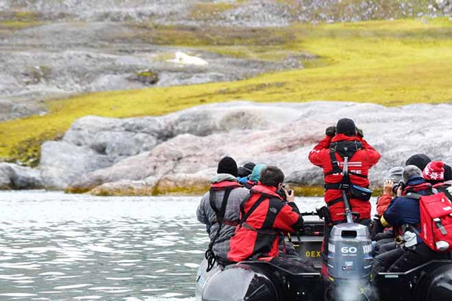 Spitsbergen | In het gebied van de ijsbeer en ijs | 10 dagen