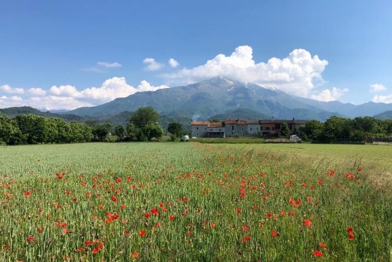 Italië | Fietsvakantie Noord Italie | Piemonte – Cuneo | 8 dagen