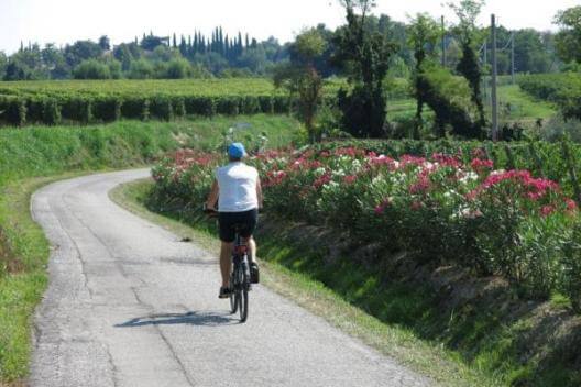 Italië | Fietsvakantie Volta Mantovana, standplaats Colline Moreniche | 8 dagen