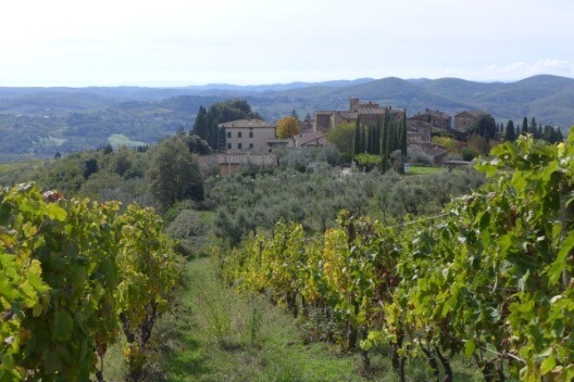 Italië | Individuele Fietsvakantie Toscane | Chianti – Midden Italie | 8 dagen