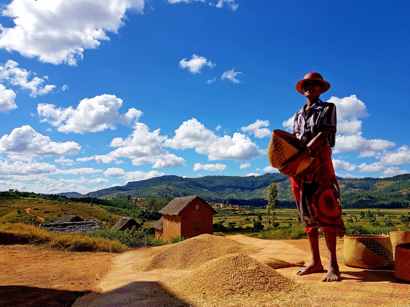 Madagascar | Groepsrondreis Brug tussen Afrika en Azie | 23 dagen