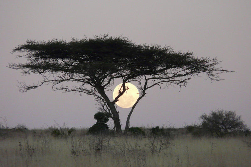 Zuid Afrika | Actieve Groepsrondreis | Zeg hallo tegen Zuid Afrika | 14 dagen