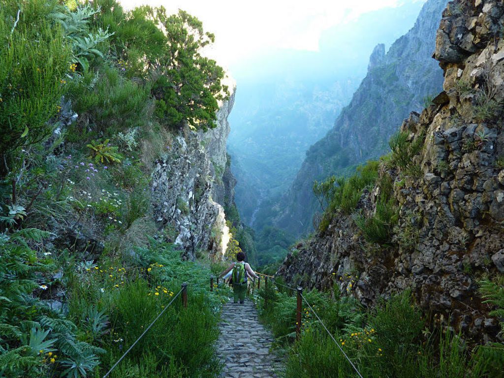 Portugal | Madeira | Actieve wandelvakantie op het bloemeneiland van Europa | 8 dagen