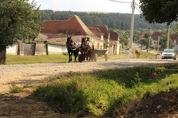 Roemenië | Transsylvanië | Groepsrondreis | 11 dagen