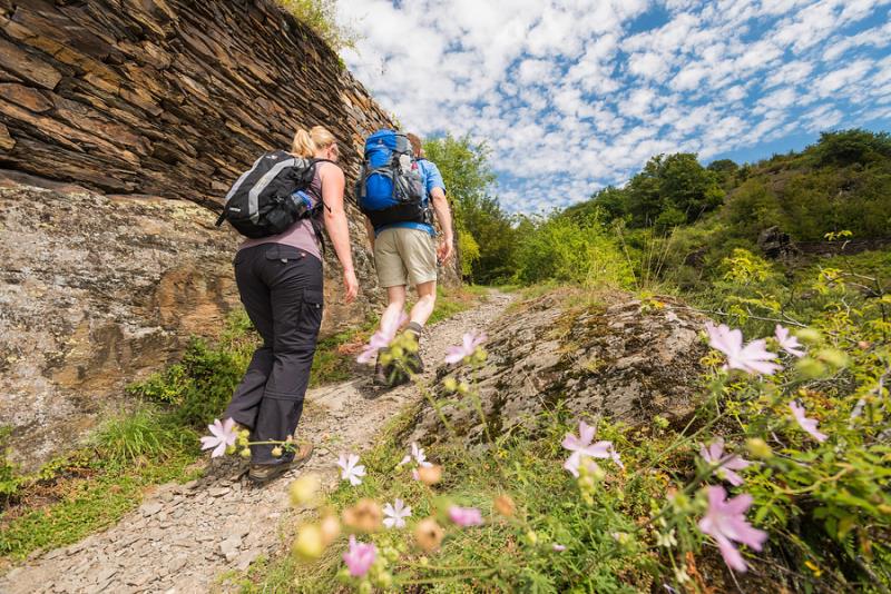 Duitsland | Moselsteig | Individuele Wandelreis | 6 dagen