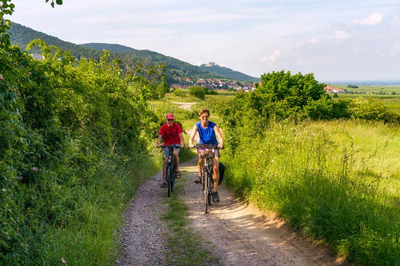 Duitsland | Individuele fietsvakantie | Pfalz | 5 dagen