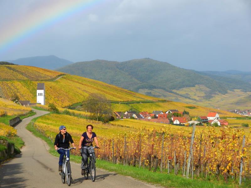 Frankrijk | Individuele Fietsreis | Elzas | 6 dagen