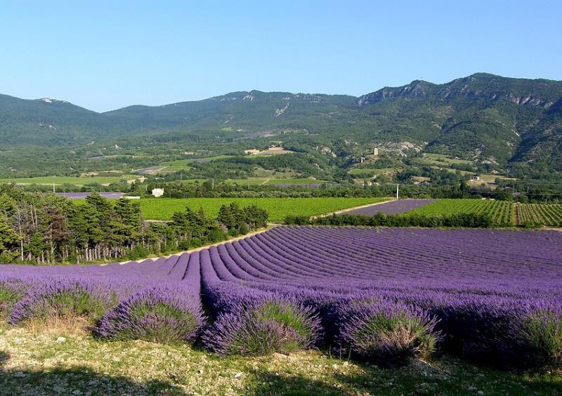 Frankrijk | Individuele Fietsreis | Provençe | Lubéron | 7 dagen