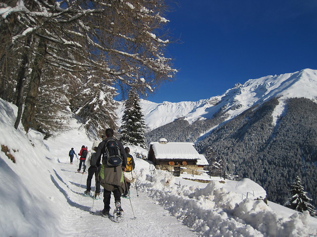 Italië | Groepssneeuwwandelvakantie Trentino Val di Sole | 8 dagen
