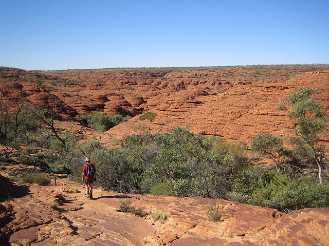 Australië | Individuele Actieve Rondreis Red Centre | 8 dagen