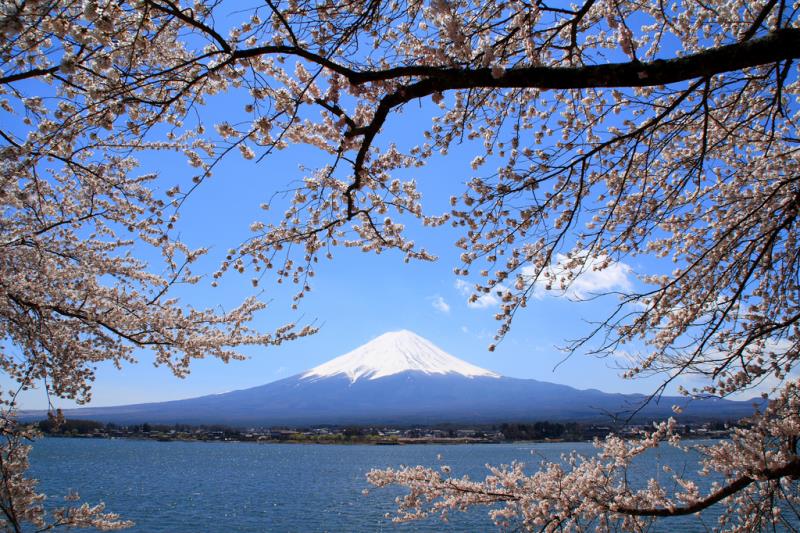 Japan | Groepswandel en Cultuurreis | 22 dagen