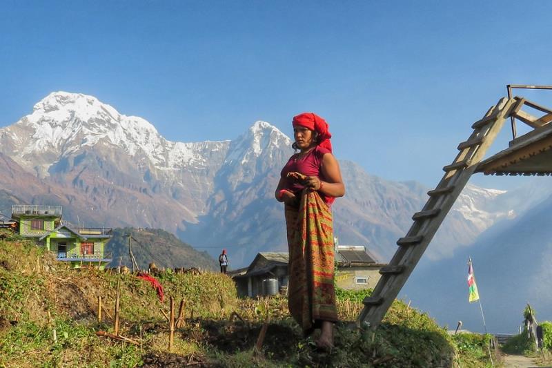 Nepal | Panorama | Individuele Wandelreis | Van jungle tot hooggebergte | 19 dagen