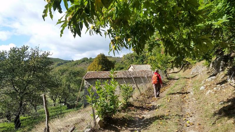 Frankrijk | Ardèche | Wandelvakantie langs kraters en kastanjes | 5 dagen