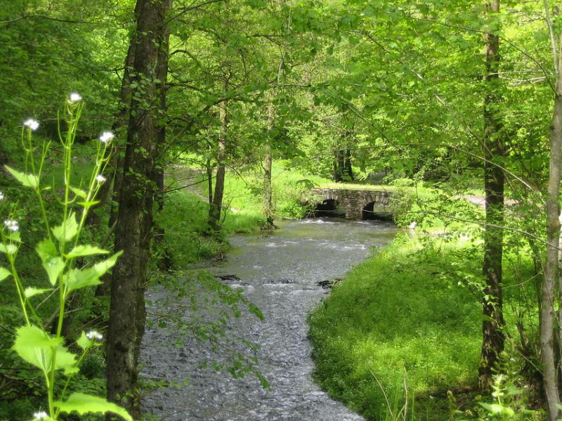 Belgie | Individuele Wandelreis Ardennen | Semois | 5 dagen