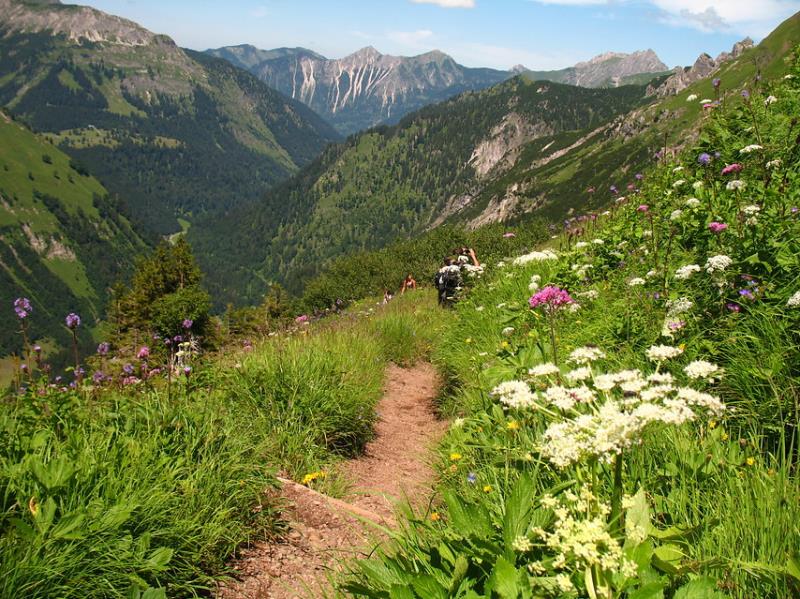 Duitsland | Individuele Wandelreis | Allgäuer Alpen | 5 dagen