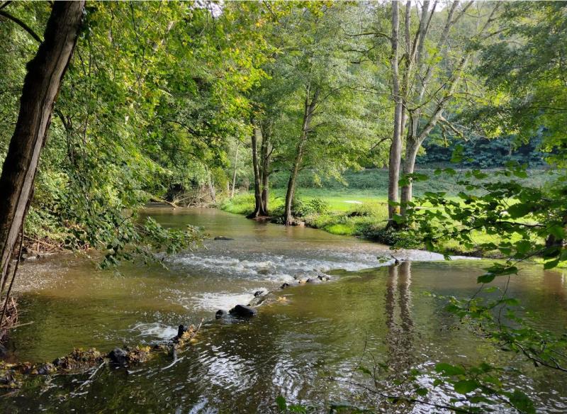 Frankrijk | Morvan | Wandelvakantie Van Avallon naar Vezelay | 6 dagen