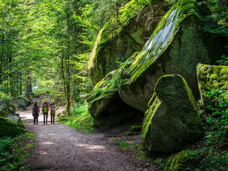 Duitsland | Individuele Wandelreis | Op zoek naar de bron van de Donau | 6 dagen