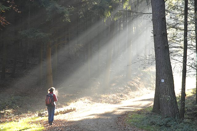 Duitsland | Eifel | Ahrtal | Individuele Wandelreis 5 dagen