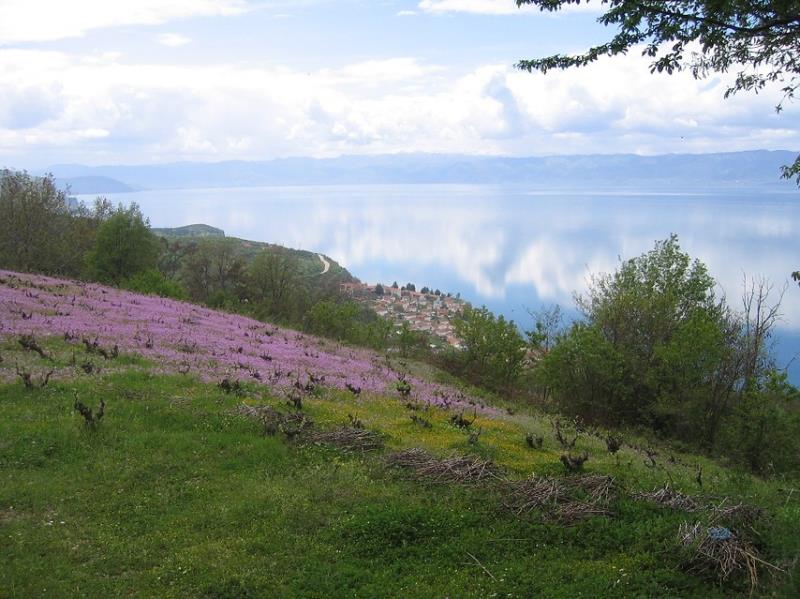 Macedonië | Groepswandelreizen | Het Hart van de Balkan | 12 dagen