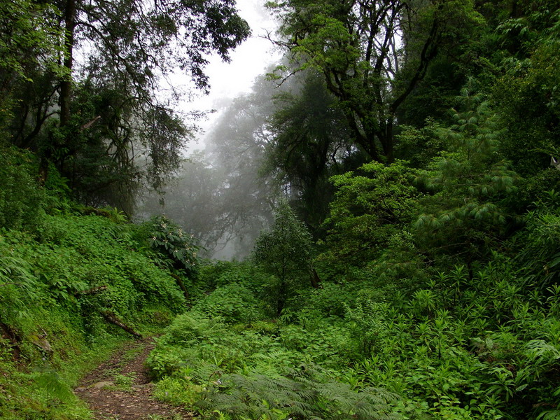 Nepal | Individuele Wandelreis | Langtang Helambu | 16 dagen