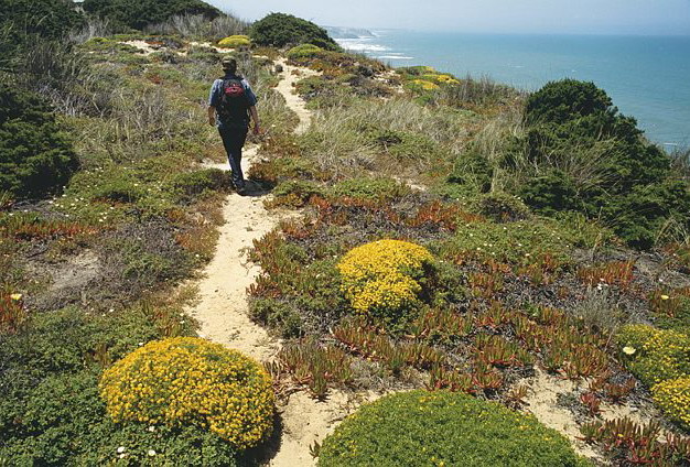 Portugal | Alentejo en Algarve | Individuele Wandelreis | Rota Vicentina | 9 dagen