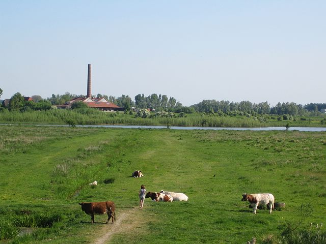 Nederland | Wandelen Langs de Nederrijn en Nationaal Park De Hoge Veluwe | 4 dagen