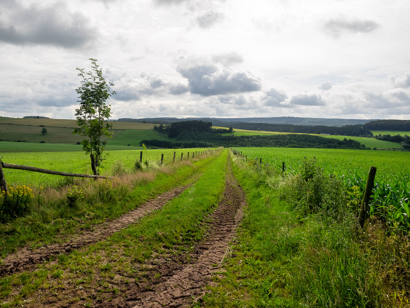 Duitsland | Eifel | Eifelsteig en het Vulkanpfad | Individuele Wandelreis | 5 dagen