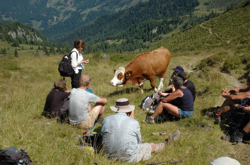 Oostenrijk | Grossarltal | Groepswandelreis | 8 dagen