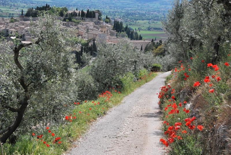 Italië | Umbrië Zuid | Individuele Wandelreis | 7 dagen