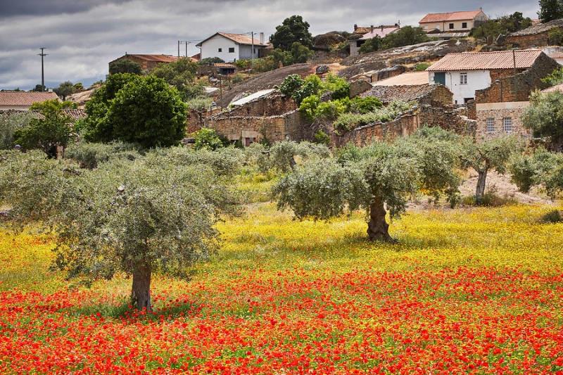 Portugal | Alentejo en Centro | Actieve rondreis met (huur)auto langs pousadas en hotels | 9 dagen