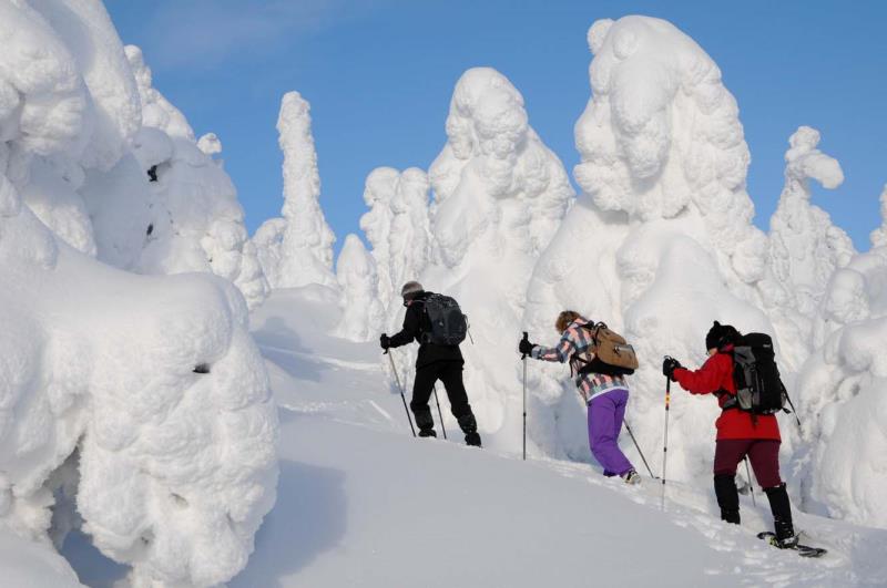 Finland | Kuusamo | Groepsreis Sneeuwwandelen | 8 dagen