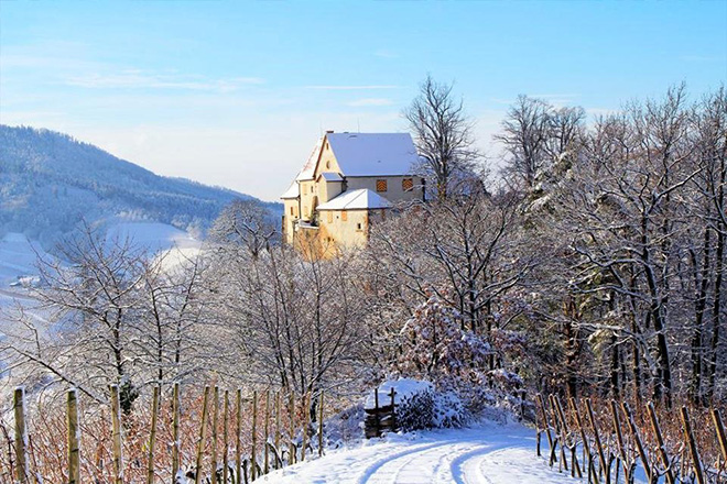 Duitsland | Kerst in het Zwarte Woud en de Elzas | 5 dagen