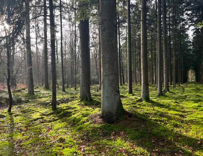 Nederland | Pieterpad compleet – wandelvakantie door Nederland | 28 dagen