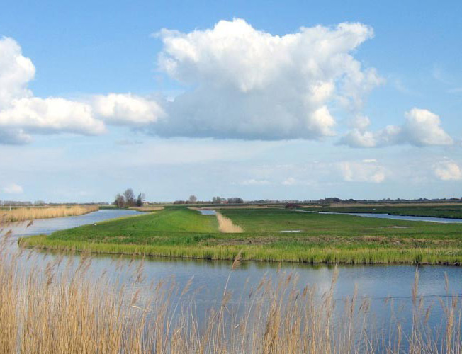 Nederland | Fietsvakantie Terug in de Gouden Eeuw | 5 dagen