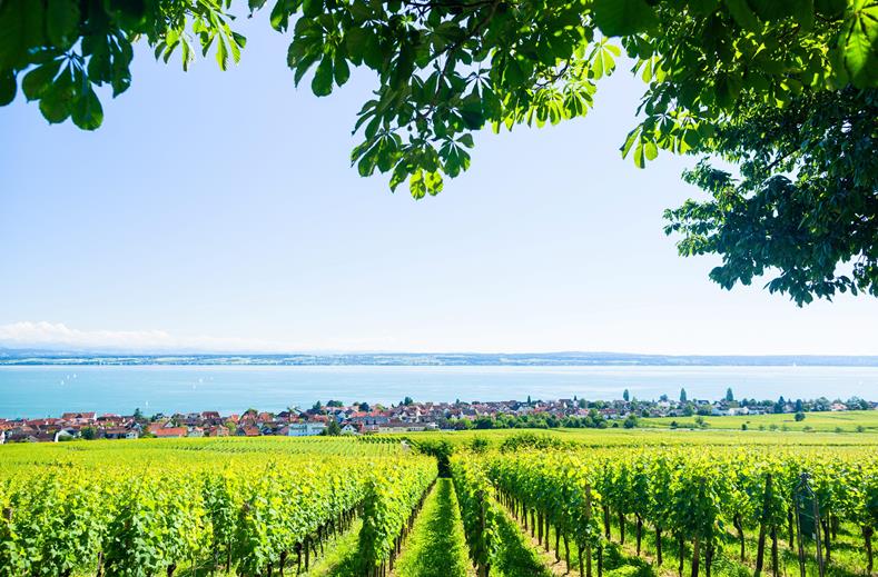 Duitsland | Individuele Fietsvakantie Bodensee | Tour voor genieters | 9 of 10 dagen