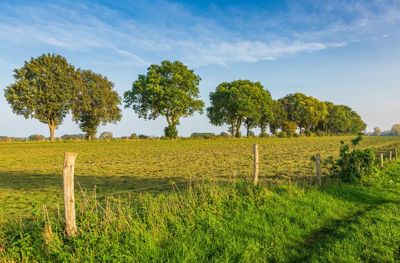 Nederland | Single Fietsreis | Fietsen Bourgondisch Brabant | 5 dagen