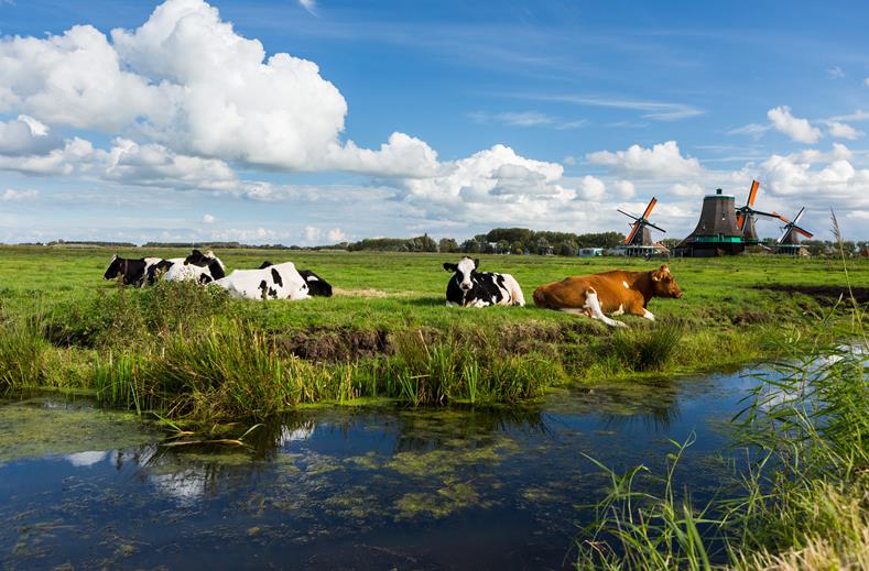 Nederland | Friesland | Fietsvakantie Elfstedentocht | 7 8 dagen