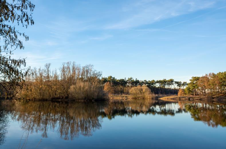 Nederland | Single Yogaweekend Brabantse Kempen | 3 dagen