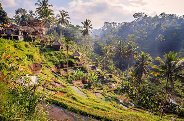 Indonesië | Bali Strand cultuur | 10 dagen