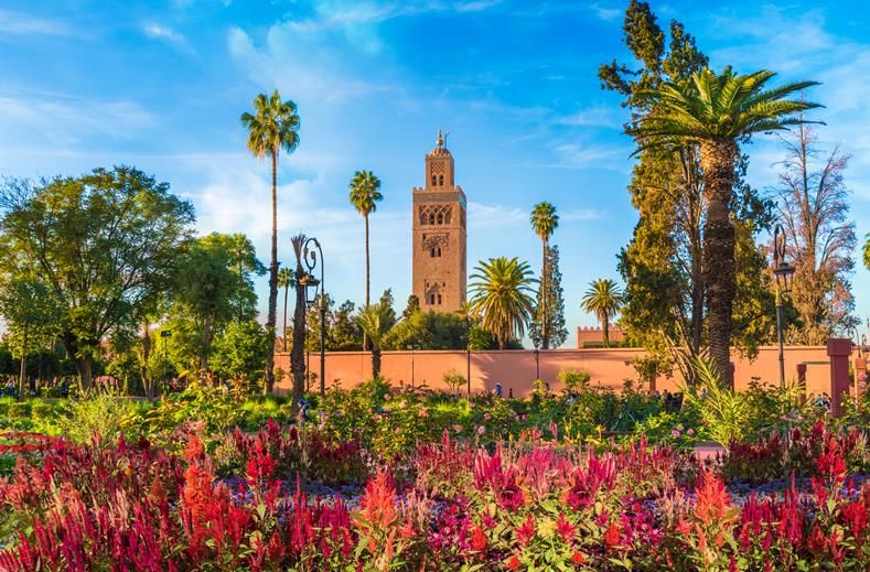 Marokko | Rondreizen Het betoverende zuiden van Marokko | 12 dagen