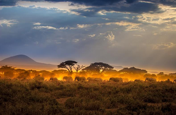 Kenia | Groepsrondreis | Safari Kenia | 16 dagen